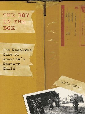 cover image of Boy in the Box